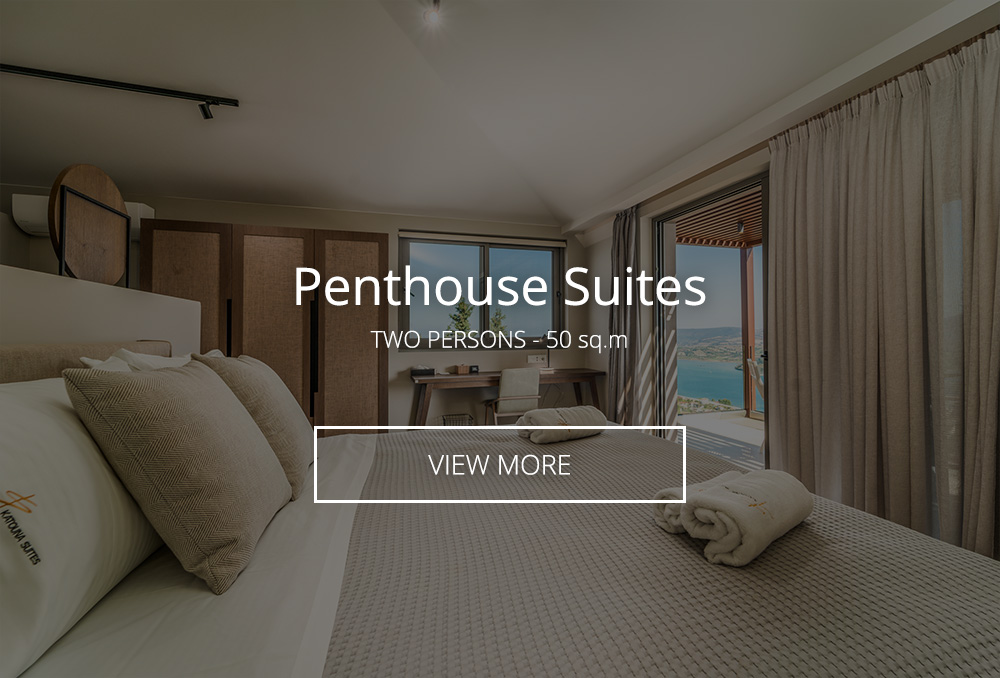 Penthouse Suites