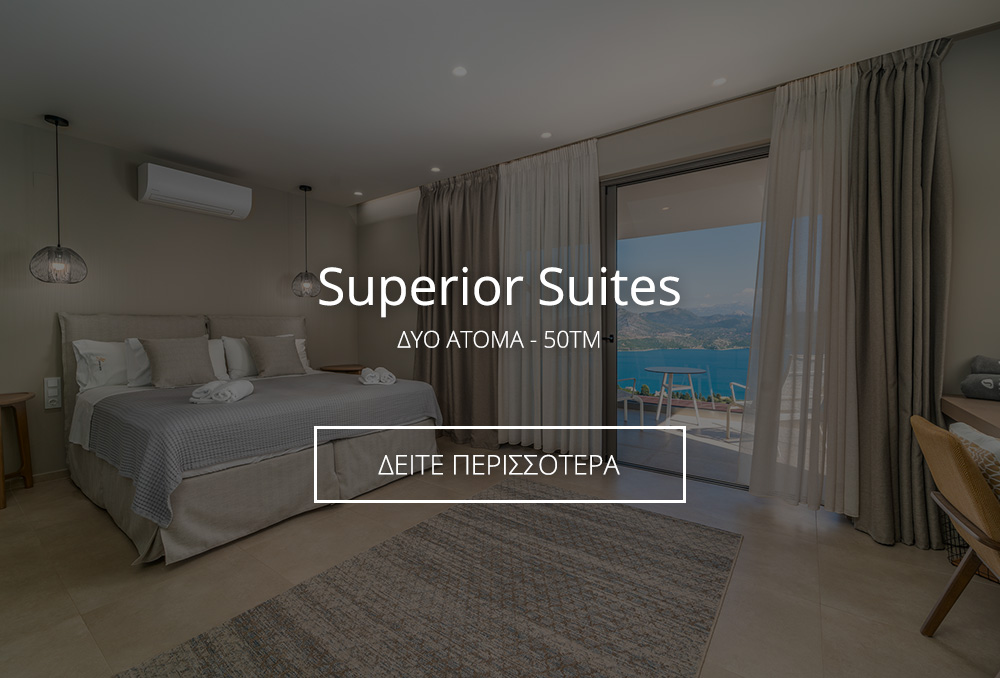 Superior Suites